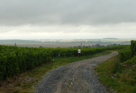 Champagne 2011 Hailstorm